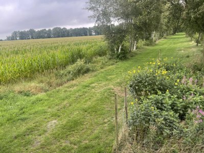 Ahrensdorf Foto 5