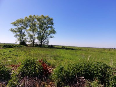 Blick über eigenes Grünland