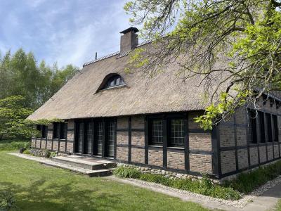 Seitenansicht
